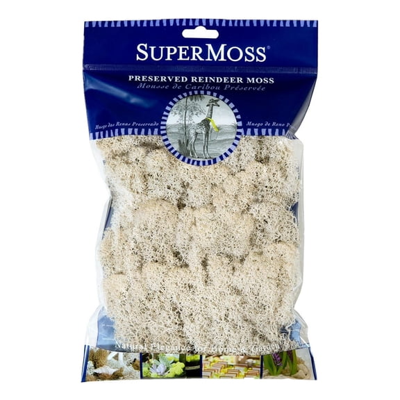 SuperMoss Preserved Reindeer Moss, White, 2oz