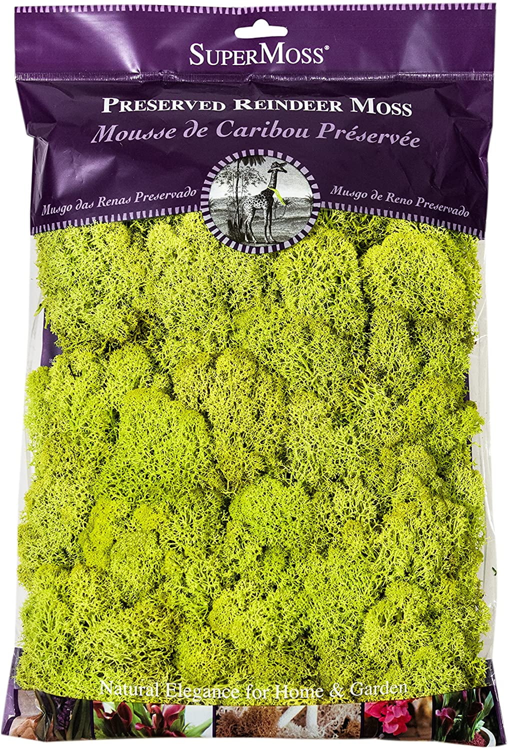 SuperMoss Preserved Reindeer Moss, 8oz, Forest Floral