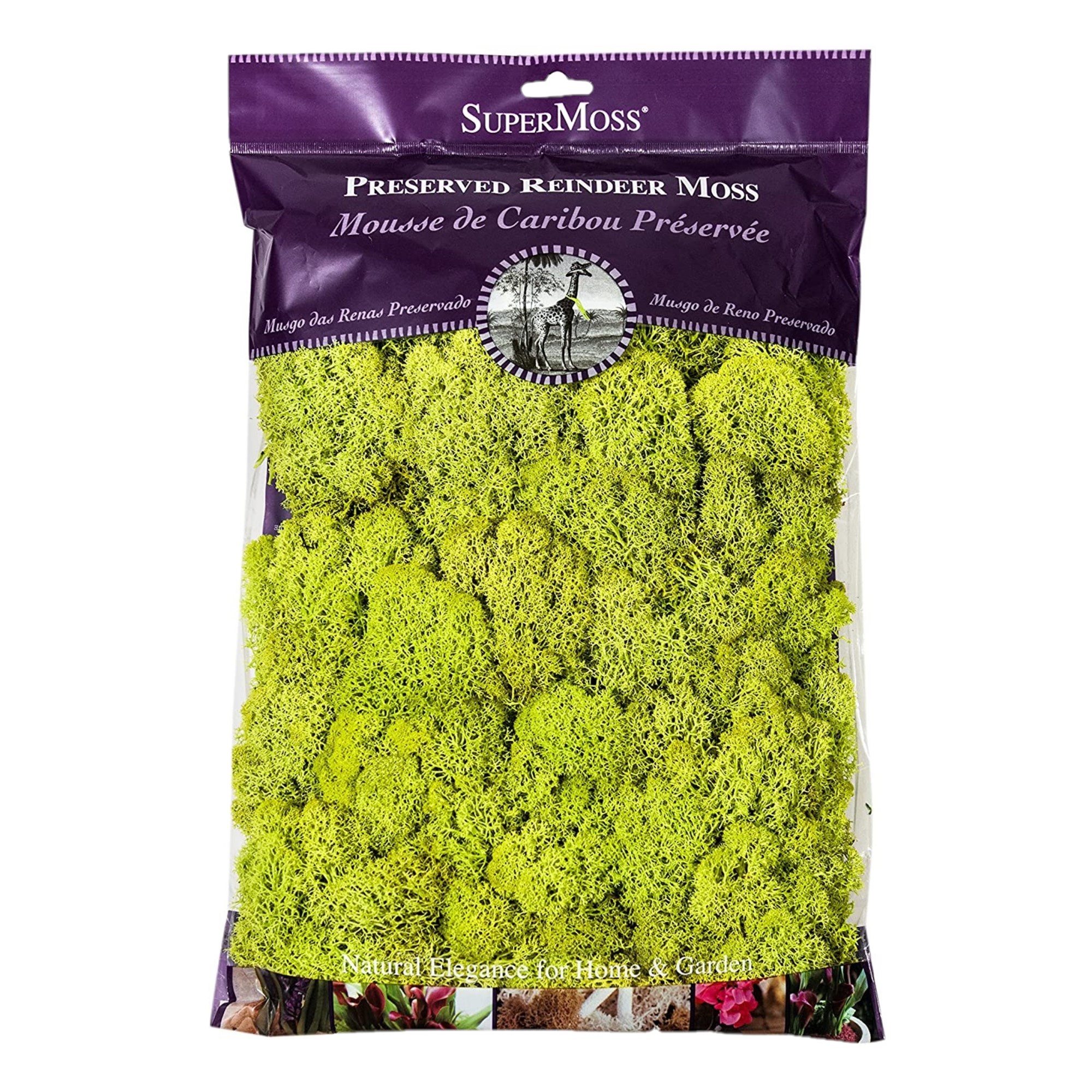 SuperMoss® Preserved Reindeer Moss
