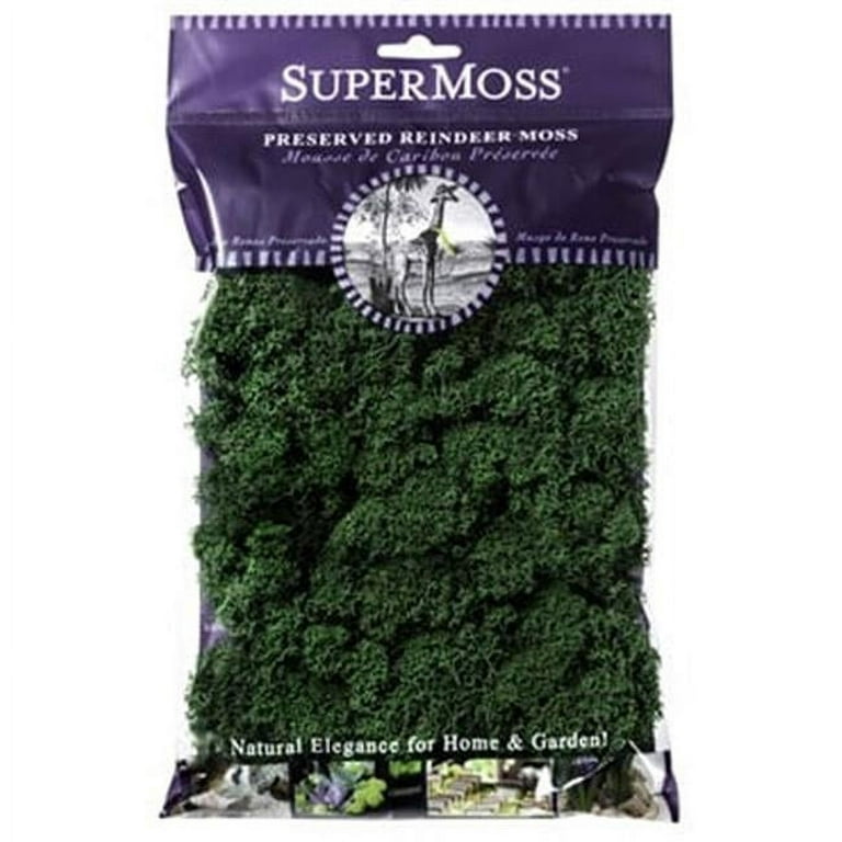 SuperMoss Natural Spanish Moss 80.75 Cu in