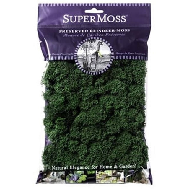 Moss Size SuperMoss® Preserved Spanish Moss for Plant, Grass Green, 2 oz ...