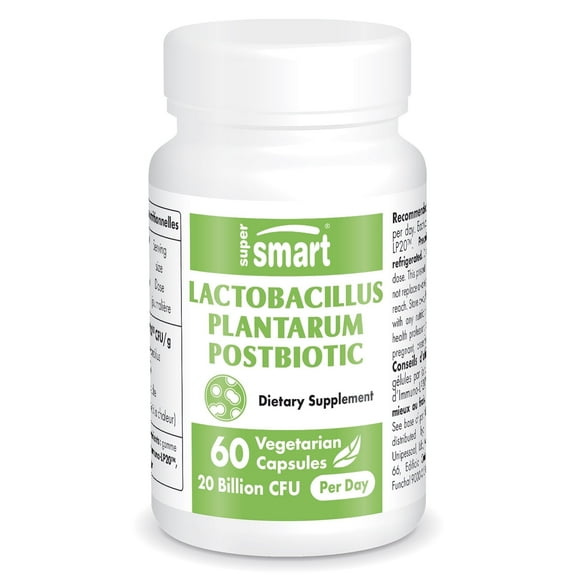 SuperSmart Lactobacillus Plantarum PostBiotic 20 Billion CFU per Day (Immuno-LP20) - Heat-Treated Probiotic Supplement | Non-GMO & Gluten Free - 60 Vegetarian Capsules