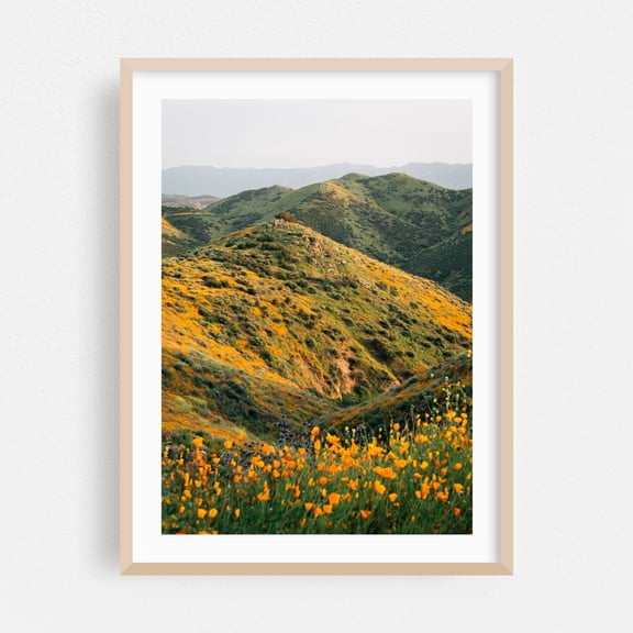 Superbloom Poppies 02 - Lake Elsinore California Photography Landscape Nature Mountain Scenic Flowers Floral Oak Framed Wall Art Print 12 x 18 inches
