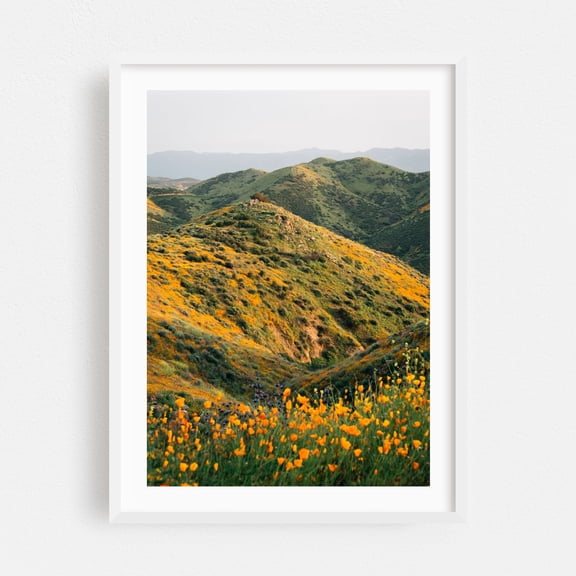 Superbloom Poppies 02 - Lake Elsinore California Photography Landscape Nature Mountain Scenic Flowers Floral White Framed Wall Art Print 5 x 7 inches