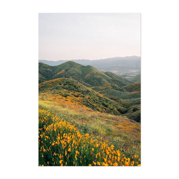 Superbloom Poppies 03 - Lake Elsinore California Photography Unframed Wall Art Print 8 x 12 inches