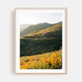 thumbnail image 1 of Superbloom Poppies, Lake Elsinore 07 - Photography Landscape Flowers Nature Scenic Mountain Summer Botanical Oak Framed Wall Art Print 5 x 7 inches, 1 of 3