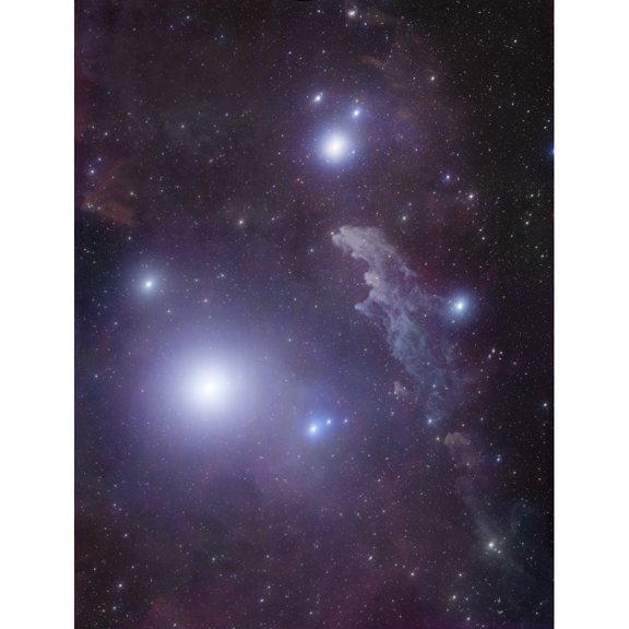 Supergiant Rigel and IC 2118 in Eridanus Poster Print