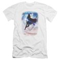thumbnail image 1 of Supergirl Endless Sky Premium Adult Slim Fit 30/1 T-Shirt White, 1 of 1