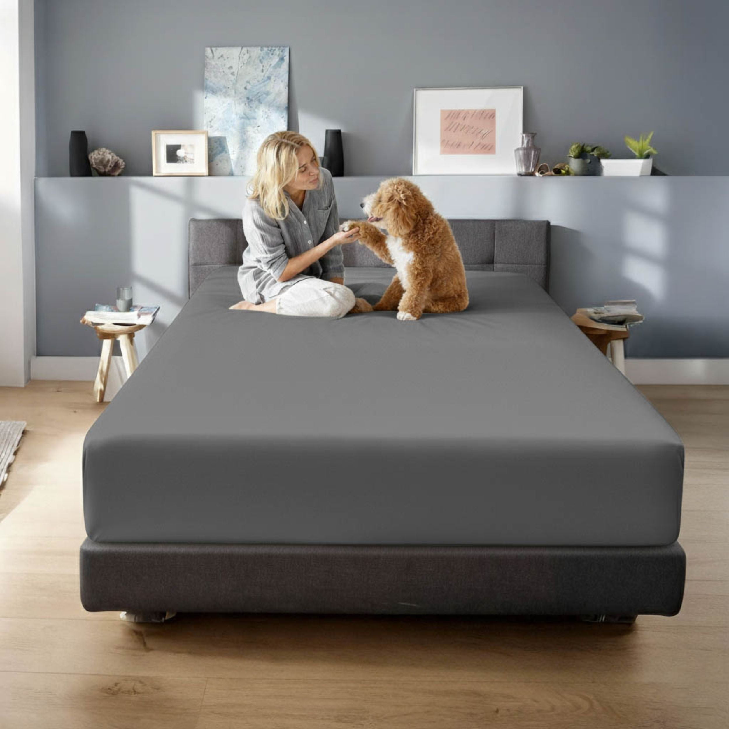 Superior 650 TC Egyptian Cotton Fitted Sheet, Extra Deep Pocket - 18 Inch, Queen Size, Grey