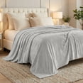 thumbnail image 1 of Superior Alaska Diamond Fleece Blanket 66" x 90", Lightweight Soft Bed Blankets, Twin Size, Platinum, 1 of 9
