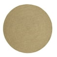 thumbnail image 1 of Superior Braided Indoor/ Outdoor Area Rug, 5' x 8', Fog Green, 1 of 6