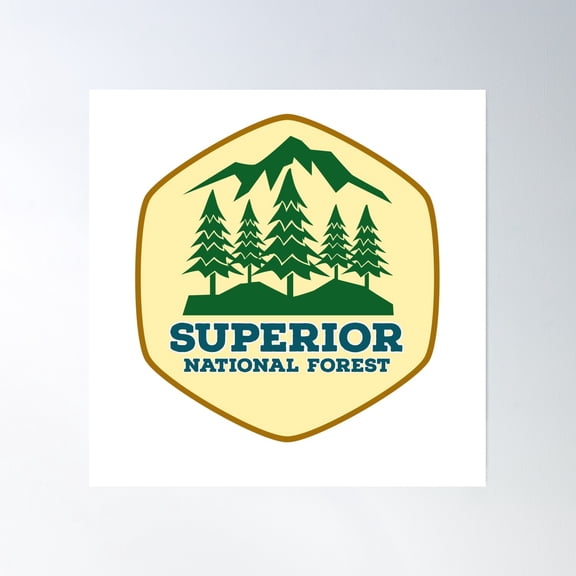 Superior National Forest North Carolina Vintage Poster Wall Art, Modern Wall Decor, 16x16 UNFRAMED