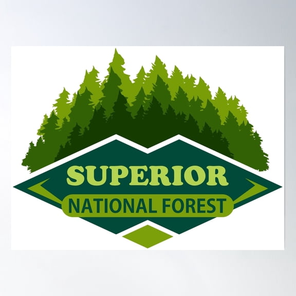 Superior National Forest Poster Wall Art, Modern Wall Decor, 12x18 UNFRAMED