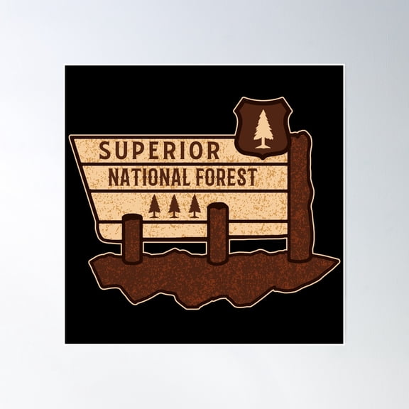 Superior National Forest Poster Wall Art, Modern Wall Decor, 16x16 UNFRAMED