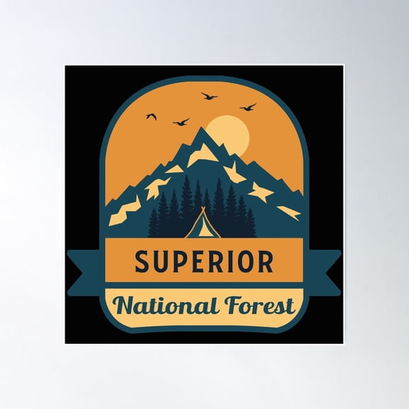 Superior National Forest Poster Wall Art, Modern Wall Decor, 16x16 UNFRAMED