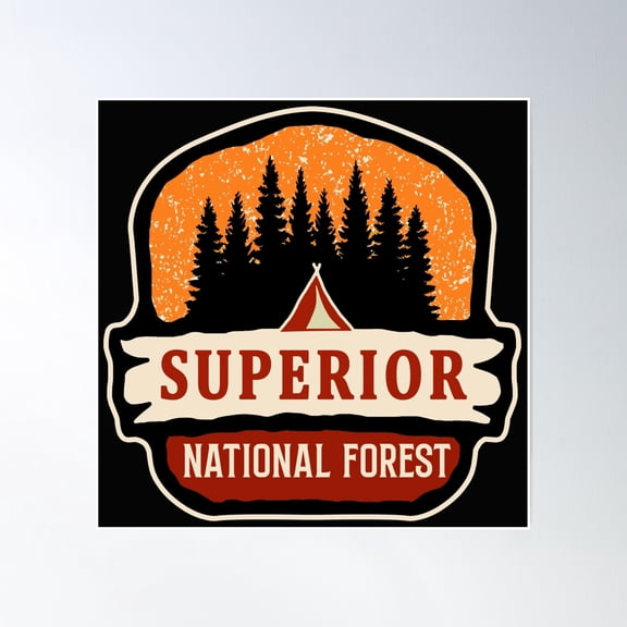 Superior National Forest Poster Wall Art, Modern Wall Decor, 16x16 UNFRAMED