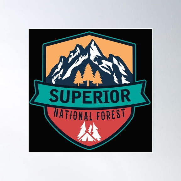 Superior National Forest Poster Wall Art, Modern Wall Decor, 24x24 UNFRAMED