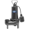 thumbnail image 1 of Superior Pump 1/2 HP Cast Iron Sewage Pump, 1 of 1