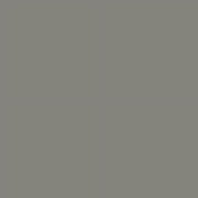 Superior Seamless Paper 53" x 36ft - Neutral Grey