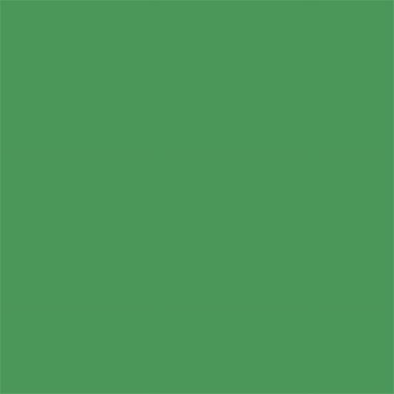 Superior Seamless Paper 53" x 36ft - Stinger