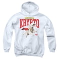 thumbnail image 1 of Superman 2025 Krypto College Youth Kids Boy/Girls Pull-Over Hoodie, 1 of 6