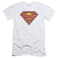 thumbnail image 1 of Superman Airbrush Shield Adult 30/1 T-Shirt White, 1 of 1