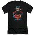 thumbnail image 1 of Superman - Displeased - Premium Slim Fit Short Sleeve Shirt - Large, 1 of 2