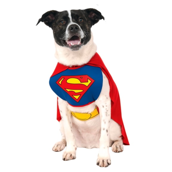 DC Comics Superman Pet Costume Accessory Set for Dogs or Cats by Rubies, Small