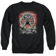 thumbnail image 1 of Superman - Doomsday Dust - Crewneck Sweatshirt - Large, 1 of 2