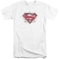 thumbnail image 1 of Superman Hastily Drawn Shield Adult Tall T-Shirt White, 1 of 1