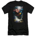 thumbnail image 1 of Superman - In The Sky - Premium Slim Fit Short Sleeve Shirt - Large, 1 of 2