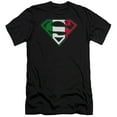 thumbnail image 1 of Superman Italian Shield Premium Adult Slim Fit 30/1 T-Shirt Black, 1 of 1