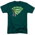 thumbnail image 1 of Superman Lex & Kryptonite Logo Adult 18/1 T-Shirt Hunter Green, 1 of 1