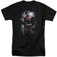 thumbnail image 1 of Superman Light Of The Sun Adult Tall T-Shirt Black, 1 of 1