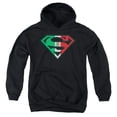 thumbnail image 1 of Superman - Mexican Flag Shield - Youth Hooded Sweatshirt - Medium, 1 of 2
