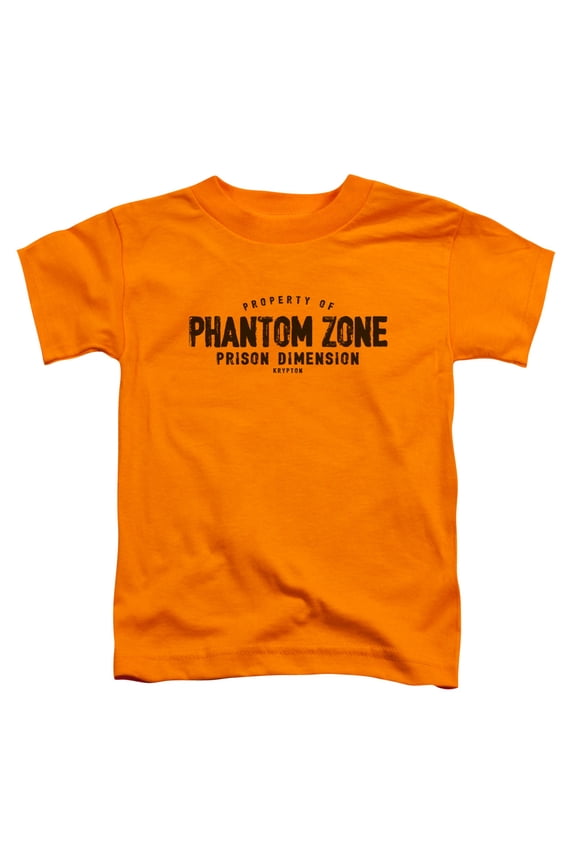 Superman - Phantom Zone - Toddler Short Sleeve Shirt - 3T