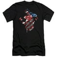 thumbnail image 1 of Superman The American Way Premium Adult Slim Fit 30/1 T-Shirt Black, 1 of 1