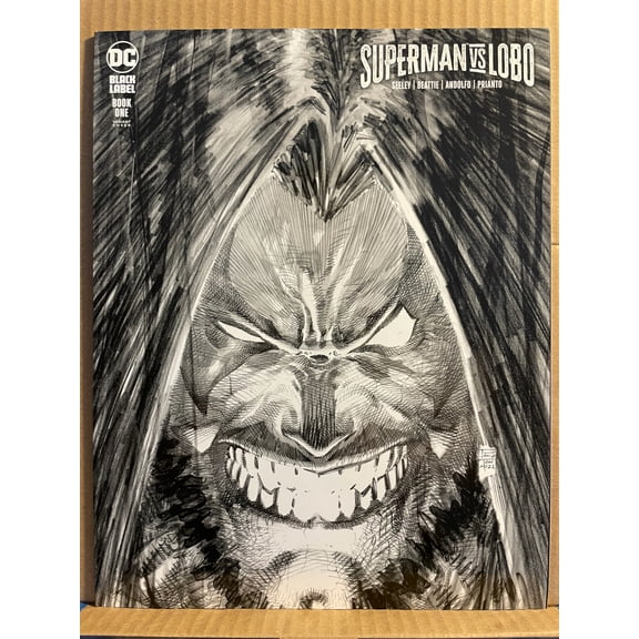 Superman vs. Lobo #1 Comic Book
