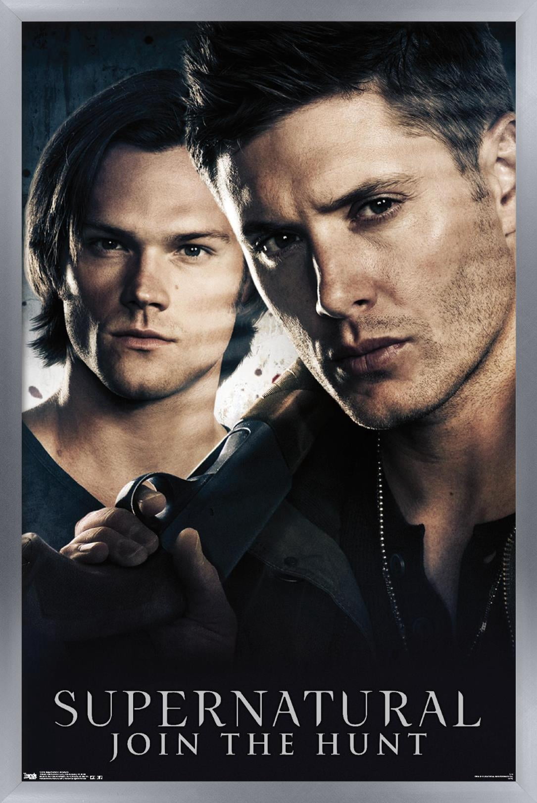 Supernatural - Brothers Wall Poster, 14.725" x 22.375", Framed