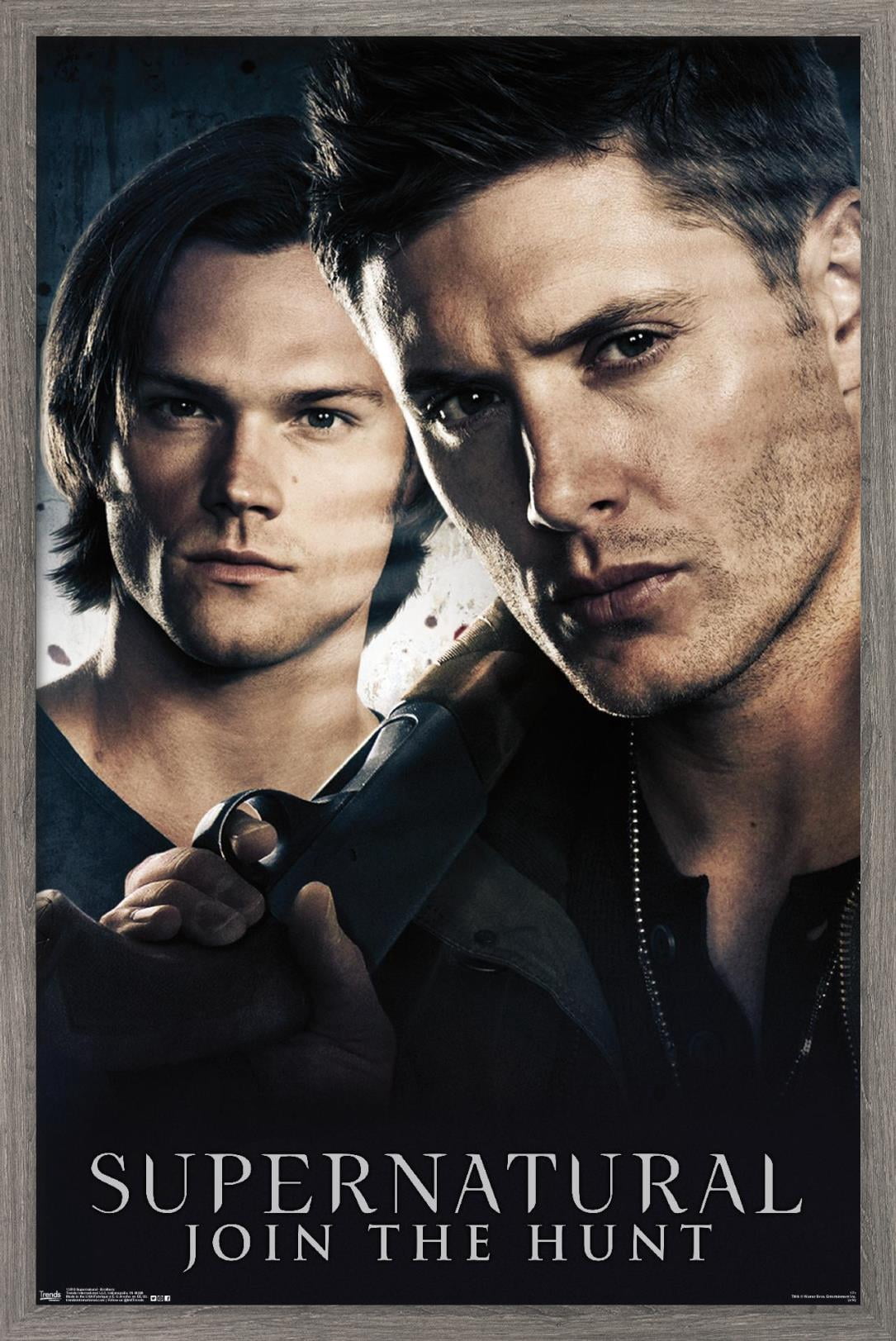 Supernatural - Brothers Wall Poster, 14.725" x 22.375", Framed