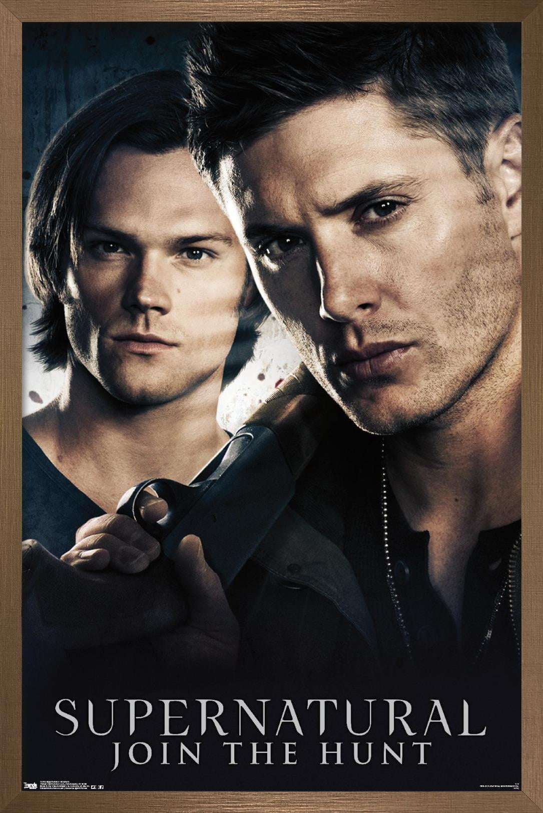 Supernatural - Brothers Wall Poster, 22.375" x 34", Framed