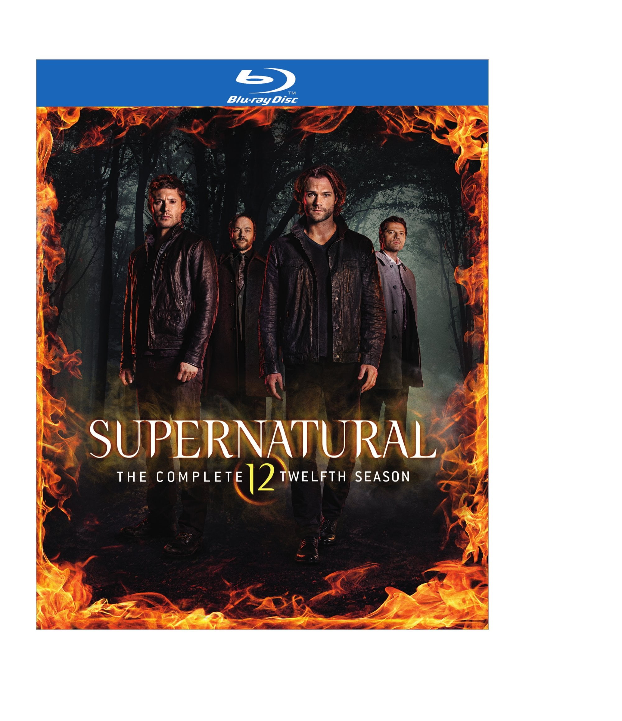 Supernatural: The Complete Twelfth Season (Blu-ray) - Walmart.com