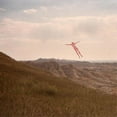 thumbnail image 1 of Supernowhere - Skinless Takes A Flight  (Limited Marble - Vinyl, 1 of 1