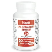 Supersmart - Lactobacillus Reuteri 5 Billion CFU per Day (Probiotic Supplement) - Digestive Health - Normal Lipid Balance | Non-GMO & Gluten Free - 60 DR Capsules
