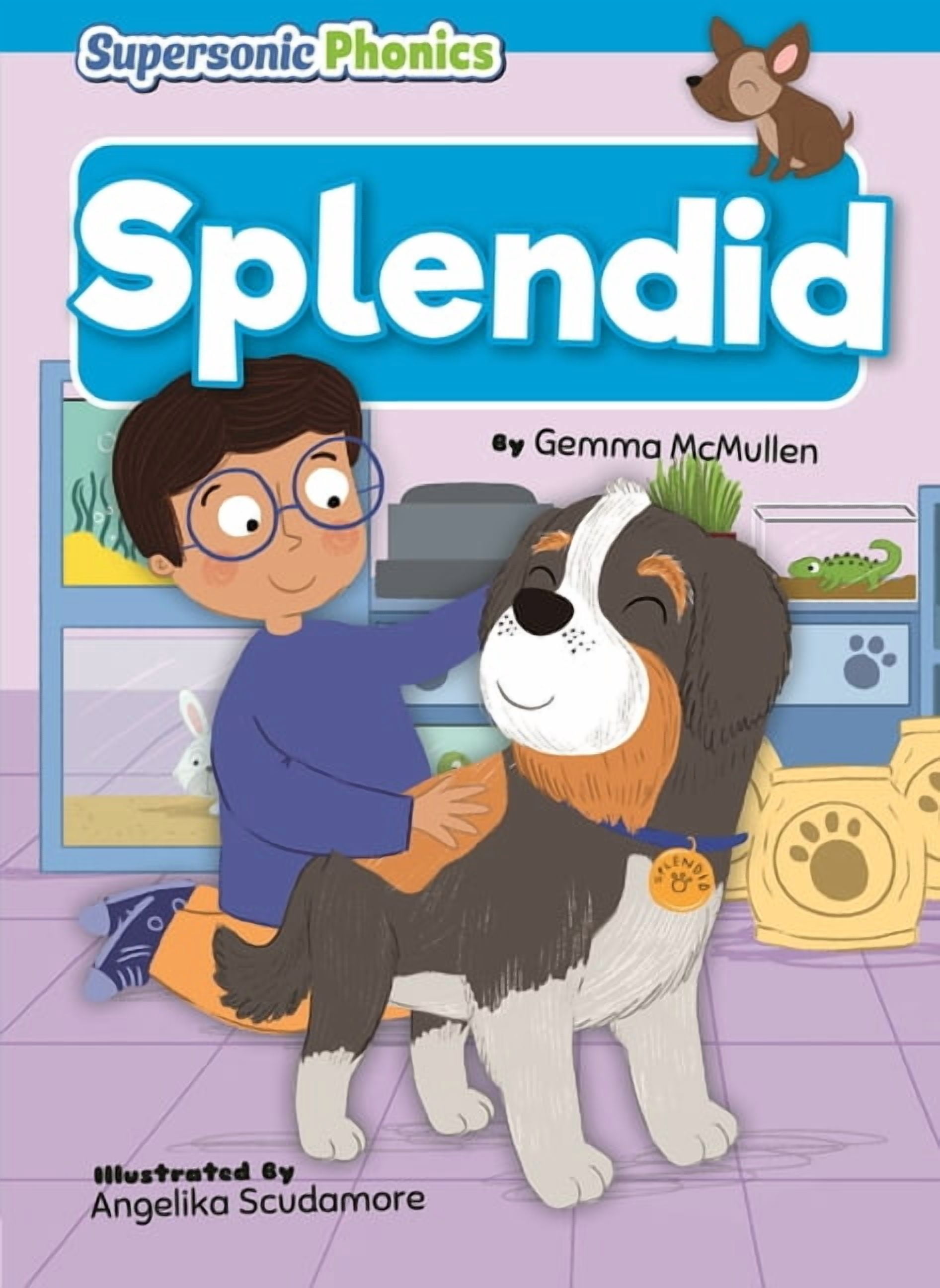 Supersonic Phonics: Level 4 - Blue Set T Splendid, (Hardcover)