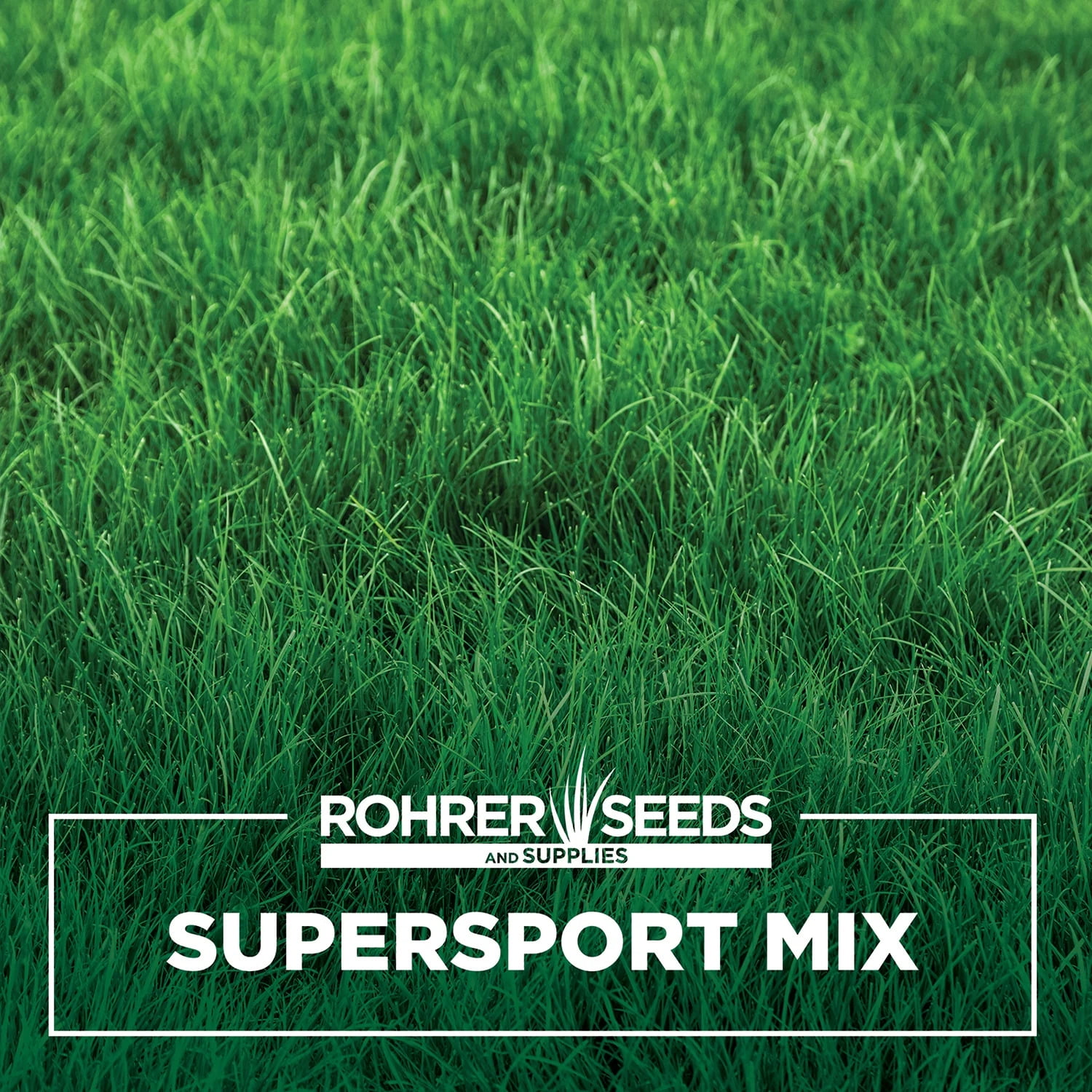 Supersport Grass Seed Mix This Lush Grass Seed Blend of Kentucky