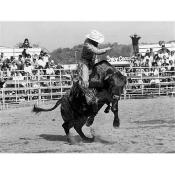 Superstock SAL2559551 Cowboy Riding A Bull in A Rodeo Poster Print, 18 x 24