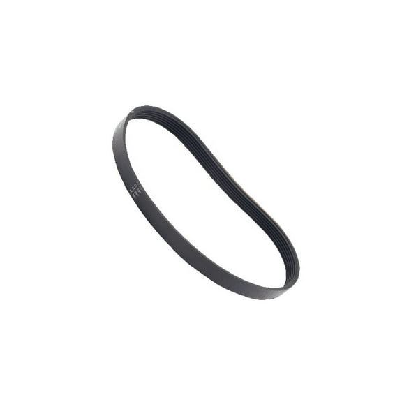 Supervacuums Poly-V Lifetime Vacuum Cleaner Belt for Riccar RSL5 & R10P