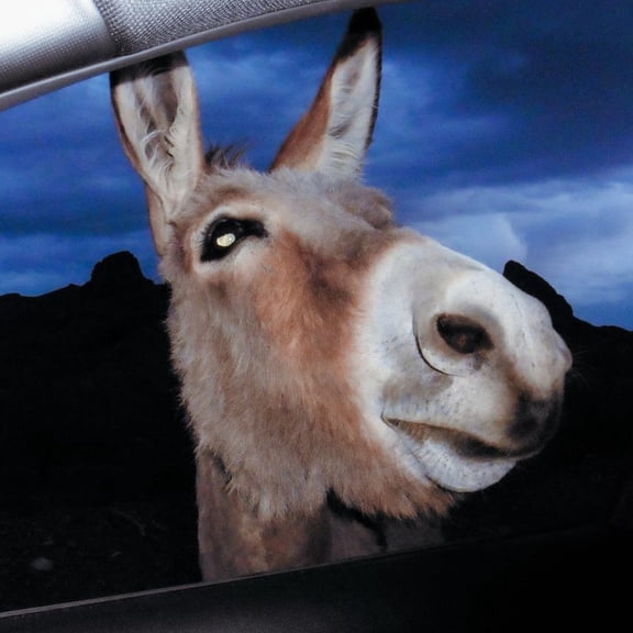 Superworld - Super World - Music & Performance - Vinyl