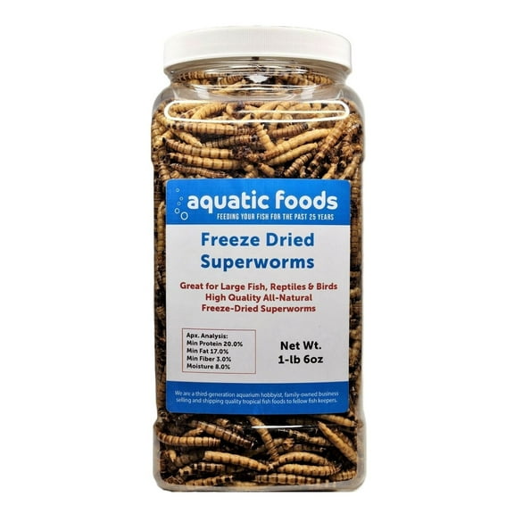 Superworms-- Freeze Dried Superworms for Tropical Fish, Reptiles, Turtles, Tortoises, Frogs, Hamsters, Birds, Rodents1-lb & 6oz Lg Jar
